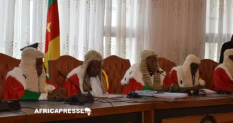 Municipales et législatives au Cameroun : l’opposition conteste en vain l’obligation d’une attestation de conformité fiscale