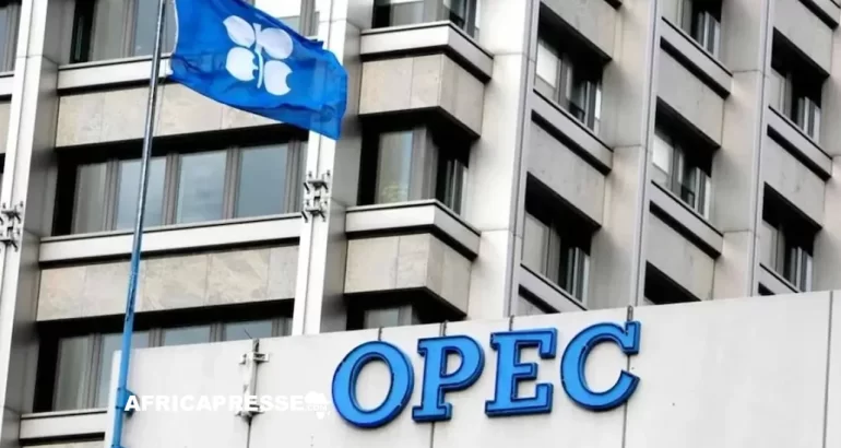 Le Fonds OPEP et la BAD resserrent leur alliance en Côte d’Ivoire pour booster le développement