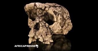 Éthiopie : une découverte majeure révèle un homininé vieux de 2,6 millions d’années