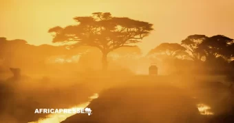 Afrique du Sud : le désert du Richtersveld livre ses trésors cachés, de nouvelles espèces d’insectes découvertes