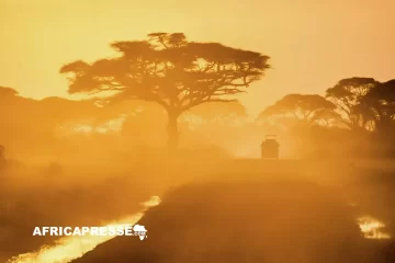 Afrique du Sud : le désert du Richtersveld livre ses trésors cachés, de nouvelles espèces d’insectes découvertes