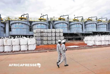 Le Zimbabwe gèle ses exportations de minerais bruts et de concentrés de lithium pour accélérer sa transformation locale