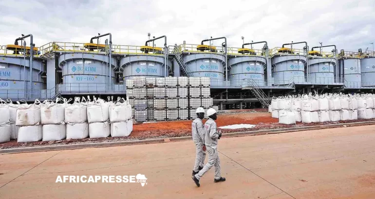 Le Zimbabwe gèle ses exportations de minerais bruts et de concentrés de lithium pour accélérer sa transformation locale