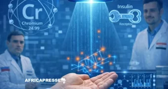 Diabète : une avancée prometteuse dans l’identification des mécanismes de déclenchement de la maladie