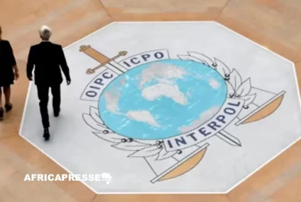 Cybercriminalité en Afrique : Interpol démantèle des réseaux et arrête 651 suspects