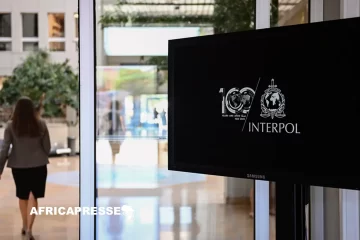 Interpol frappe un grand coup contre les réseaux criminels ouest-africains avec l’opération Jackal IV