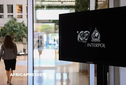 Interpol frappe un grand coup contre les réseaux criminels ouest-africains avec l’opération Jackal IV
