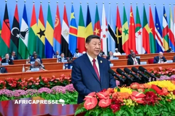 Chine : suppression des droits de douane pour la quasi-totalité des pays africains à partir du 1er mai