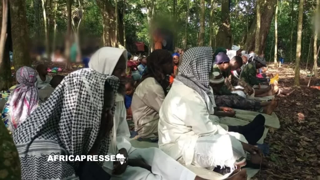 Les ADF dans la communication de l'Etat islamique