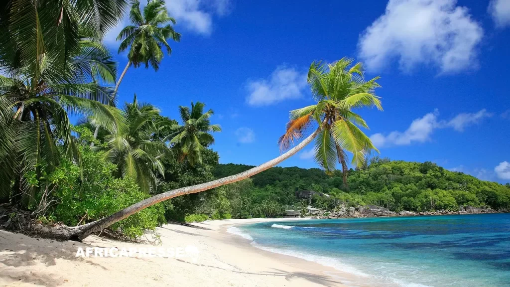 Les Seychelles veulent convertir leur image paradisiaque en atout pour l’investissement