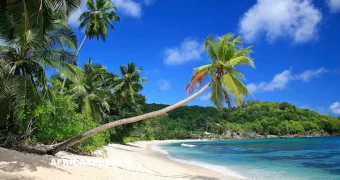 Les Seychelles veulent convertir leur image paradisiaque en atout pour l’investissement