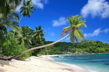 Les Seychelles veulent convertir leur image paradisiaque en atout pour l’investissement