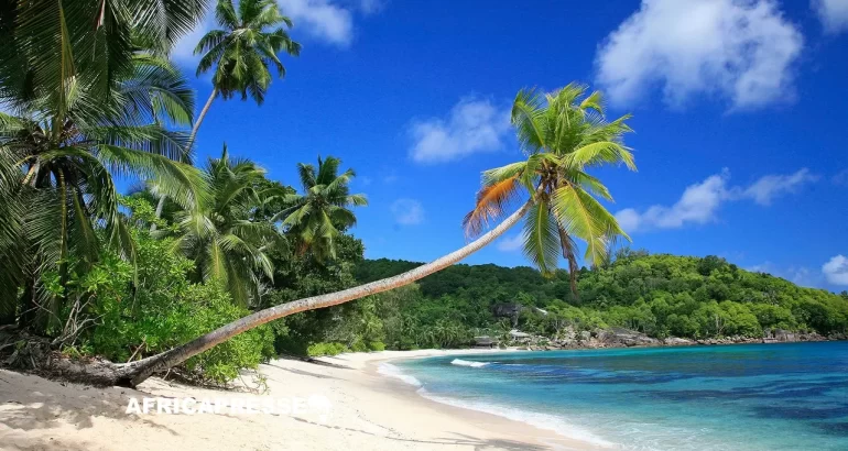 Les Seychelles veulent convertir leur image paradisiaque en atout pour l’investissement