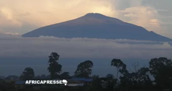 Ascension du Mont Cameroun 2026 : les coureurs camerounais raflent toutes les médailles