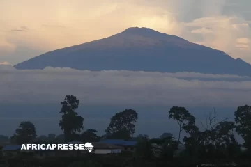 Ascension du Mont Cameroun 2026 : les coureurs camerounais raflent toutes les médailles