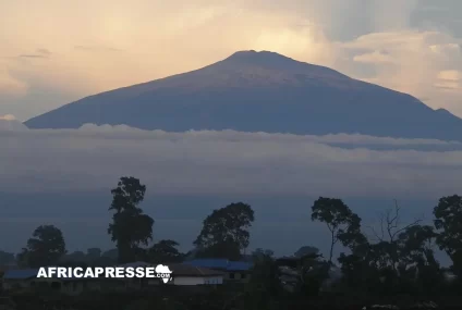 Ascension du Mont Cameroun 2026 : les coureurs camerounais raflent toutes les médailles