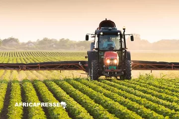 Les CUBITA, ces six pays qui ambitionnent de redessiner l’équilibre agricole mondial Les CUBITA, ces six pays qui ambitionnent de redessiner l’équilibre agricole mondial