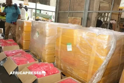 Cameroun : Saisie historique à Douala, 2,5 tonnes de cocaïne et de tramadol interceptées sous couvert de fournitures médicales