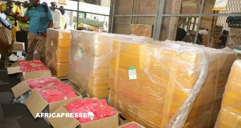 Cameroun : Saisie historique à Douala, 2,5 tonnes de cocaïne et de tramadol interceptées sous couvert de fournitures médicales