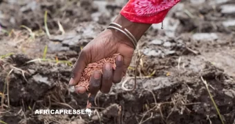 Disparition des semences paysannes : le continent africain face à un risque d’appauvrissement irréversible de sa biodiversité (FAO)