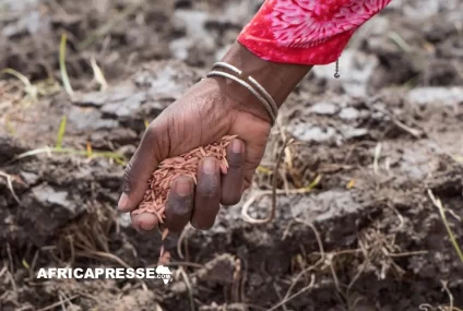 Disparition des semences paysannes : le continent africain face à un risque d’appauvrissement irréversible de sa biodiversité (FAO)