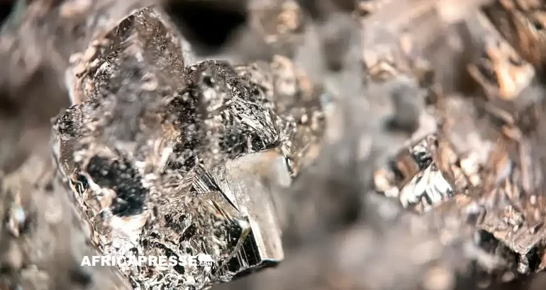 Terres rares et métaux stratégiques : pourquoi l’Afrique devient un maillon clé du stock américain