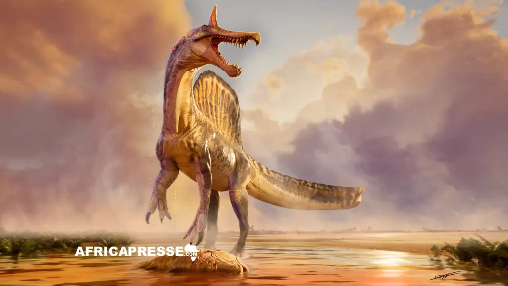 Le dinosaure Spinosaurus mirabilis
