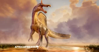 Niger : un dinosaure amphibie géant vieux de 95 millions d’années découvert dans le désert de Tesker