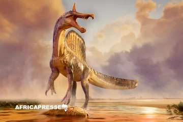 Niger : un dinosaure amphibie géant vieux de 95 millions d’années découvert dans le désert de Tesker Niger : un dinosaure amphibie géant vieux de 95 millions d’années découvert dans le désert de Tesker