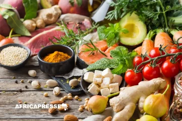 Algérie, Afrique du Sud, Égypte : le trio de tête africain de la durabilité alimentaire face au défi de la résilience continentale