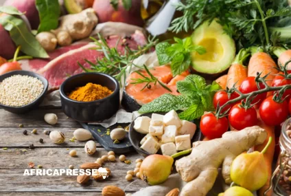 Algérie, Afrique du Sud, Égypte : le trio de tête africain de la durabilité alimentaire face au défi de la résilience continentale