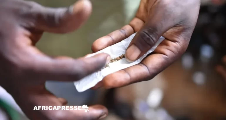 Afrique de l’Ouest : comment les drogues de synthèse inondent un marché devenu incontrôlable