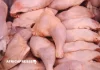 Gabon interdit les importations de poulet congelé d’ici 2027 et mise sur le modèle sénégalais pour bâtir sa filière
