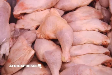Gabon interdit les importations de poulet congelé d’ici 2027 et mise sur le modèle sénégalais pour bâtir sa filière