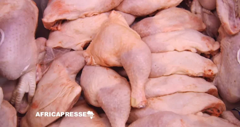 Gabon interdit les importations de poulet congelé d’ici 2027 et mise sur le modèle sénégalais pour bâtir sa filière