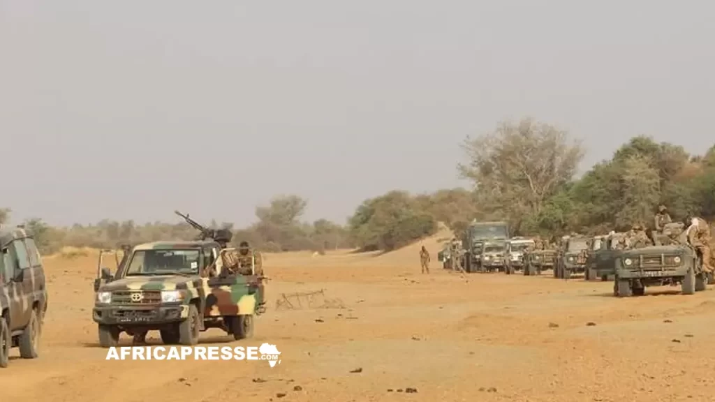 Forces Armées Maliennes - FAMA