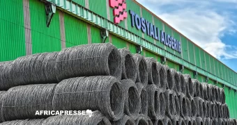 Sidérurgie : Le turc Tosyali mise 2,5 milliards de dollars sur un deuxième complexe en Algérie