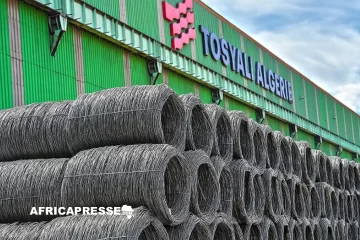 Sidérurgie : Le turc Tosyali mise 2,5 milliards de dollars sur un deuxième complexe en Algérie