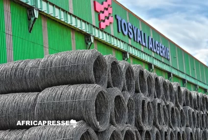 Sidérurgie : Le turc Tosyali mise 2,5 milliards de dollars sur un deuxième complexe en Algérie