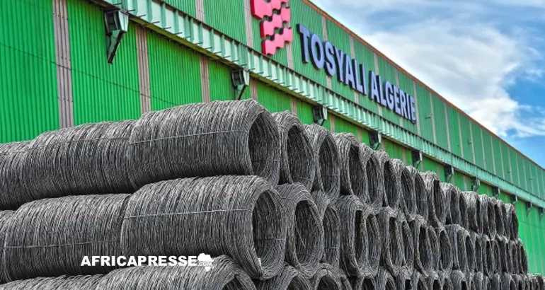 Sidérurgie : Le turc Tosyali mise 2,5 milliards de dollars sur un deuxième complexe en Algérie