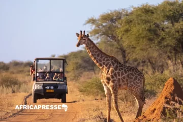 Tourisme au Kenya : une année 2025 record, mais des défis structurels à surmonter Tourisme au Kenya : une année 2025 record, mais des défis structurels à surmonter