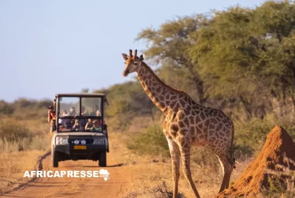 Tourisme au Kenya : une année 2025 record, mais des défis structurels à surmonter