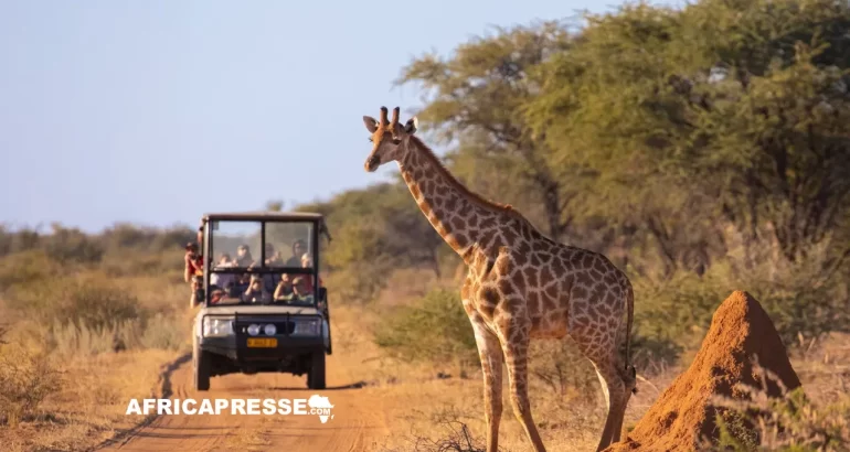 Tourisme au Kenya : une année 2025 record, mais des défis structurels à surmonter Tourisme au Kenya : une année 2025 record, mais des défis structurels à surmonter