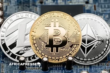 Cryptoactifs en Afrique : les banques centrales affichent un front commun face aux risques financiers