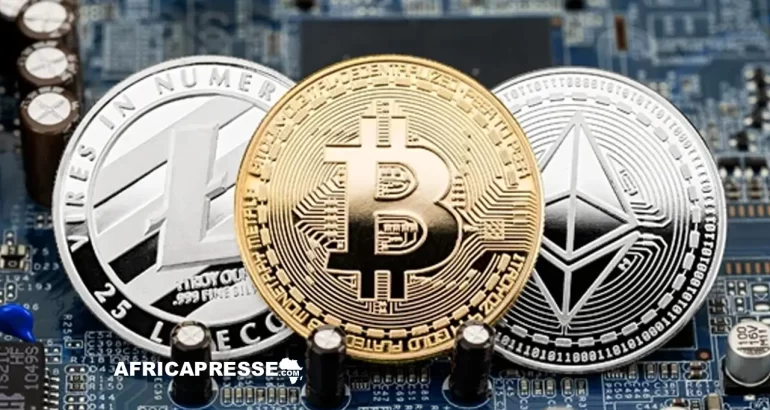 Cryptoactifs en Afrique : les banques centrales affichent un front commun face aux risques financiers