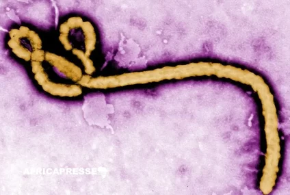 Ebola en RDC : la souche rare Bundibugyo refait surface après 14 ans d’absence