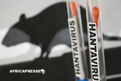Ce que l’on sait du virus Andes après le cas du MV Hondius
