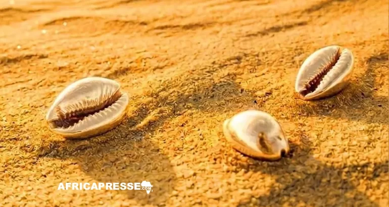 Santé en Afrique : une revue panafricaine pour pallier l’effondrement de l’aide internationale