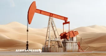 L’Égypte annonce une découverte majeure de pétrole et de gaz dans le désert Occidental