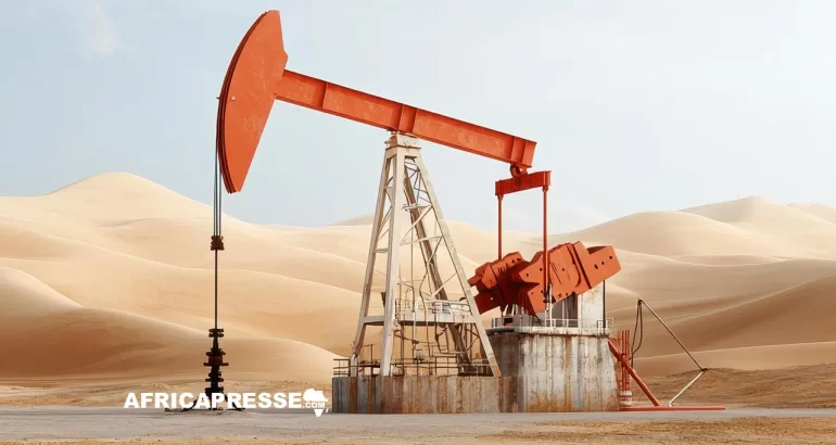 L’Égypte annonce une découverte majeure de pétrole et de gaz dans le désert Occidental